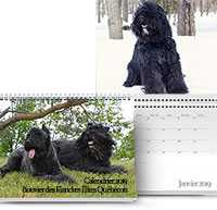 calendrier 2019