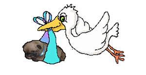 cigogne