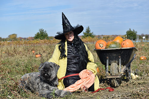 Hallween GBou